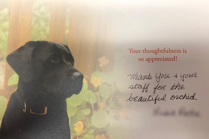 WE APPRECIATE YOU!
