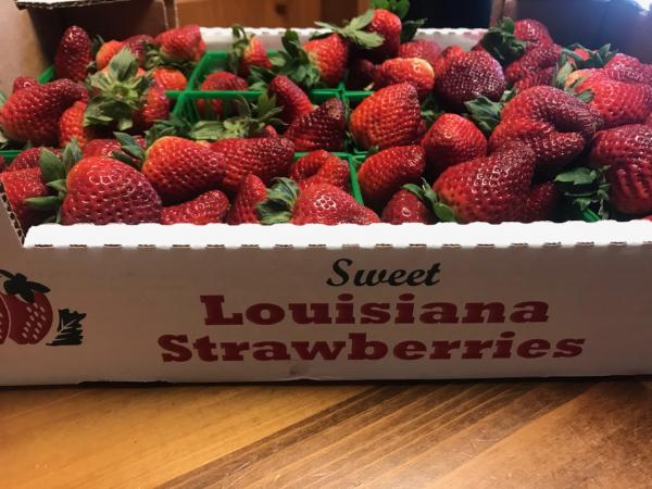 Sweet Louisiana Strawberries From Patient 