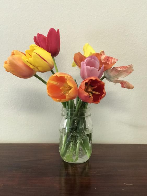 Flowers from Patient