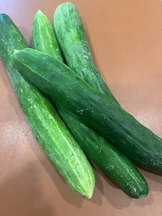 Cucumbers from Patient
