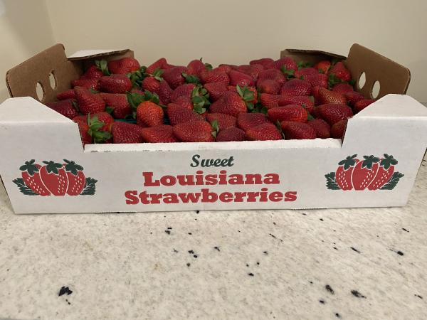 Strawberries from Patient