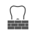 Bone Graft Icon